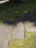 image of grave number 764133